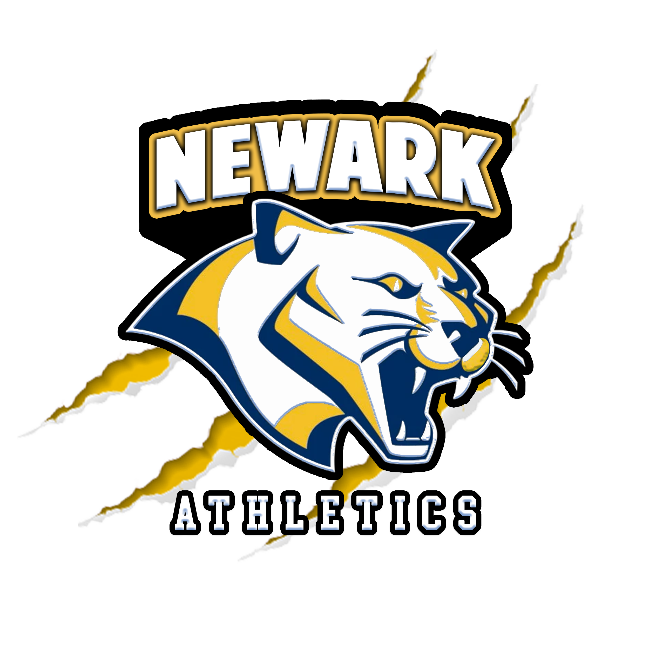 Newark Middle School full color logo